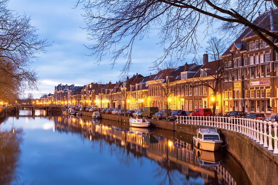 The Best Things To Do In Haarlem